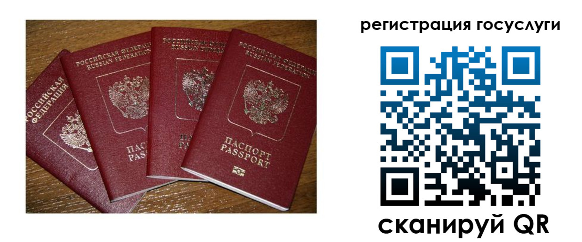 временная регистрация гарантия в Шилке